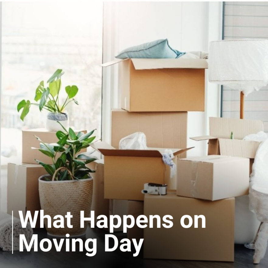 What Happens on Moving Day Blog