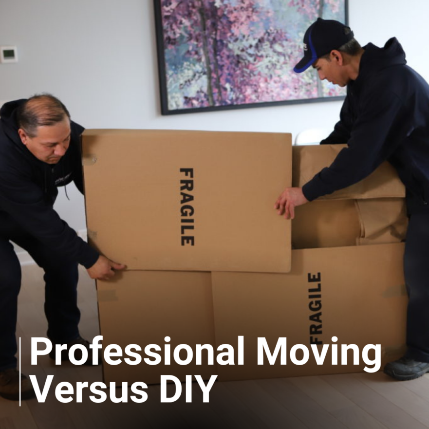Professional Moving vs DIY Blog