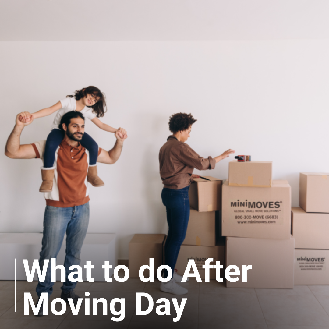 What to do After Moving Day